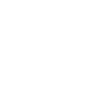Bethel University
